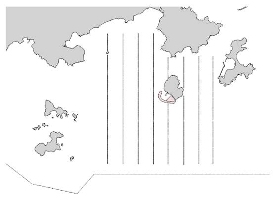 line transect
